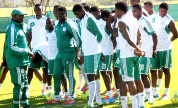 Brazil 2014: NFF, Keshi to release provisional list May 6
