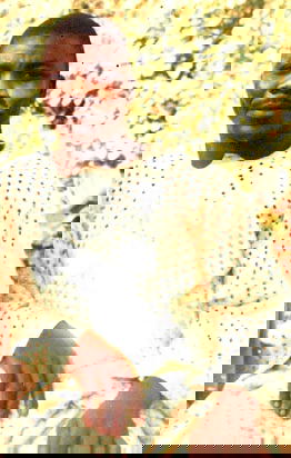 Tragic end of a panel beater