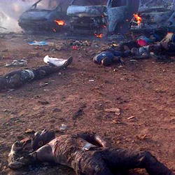 Illegality fuelled by insensitivity