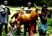 Bush meat sellers protest low patronage