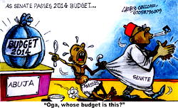 Expert says delay in budget presentation, passage not healthy for economy