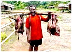 Ebola, Lassa fever and the bush meat connection