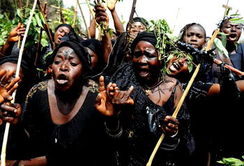 Fulani cows, Grazing Reserve Bill and the looming trouble