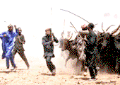 Herdsman’s murder saga: Controversy over injured suspect