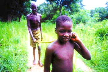 The blind leading the clueless