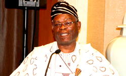 Why Nigerians in diaspora should consider investing in agric —envoy