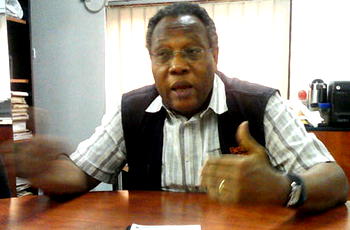 Government must ban rice importation in 2015— Ijewere