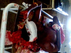 Tears flow freely after fresh onslaught by Fulani herdsmen