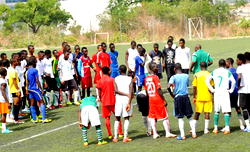 Eaglets undergo MRI test