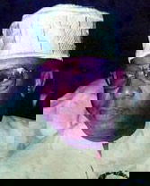 Dr. Abel K. Ubeku, 1936-2014: In memoriam