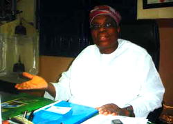 I lost one million  dollars to hajj  airlift politics  —Muneer Bankole, MD, Medview Airlines