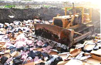 Customs seizes N14.6m worth of  poultry products
