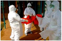 Inhalable Ebola vaccine discovered