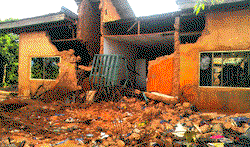 Enforce compulsory building insurance laws, expert advocates 