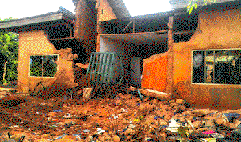 Enforce compulsory building insurance laws, expert advocates 
