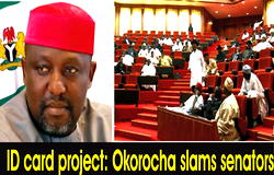 ID PROJECT: We can’t apologise to Okorocha —Senate