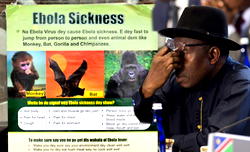Ebola Alert! Nigeria records 2 deaths, 9 cases