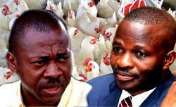 The chicken and cow business in Enugu Government House