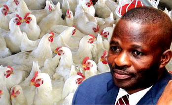 Impeachment: How Ekweremadu failed to save Enugu dep gov