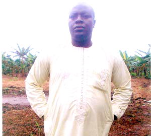 Plantain farming is very lucrative using modern farming techniques  – Shelu Abu