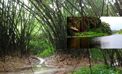 River Ethiope: Wonders of river that sprang from cotton tree