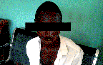 I had sex with five dogs, boy, 18, tells police