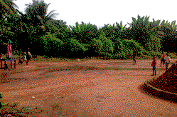 Cults clash: Residents flee Imo community