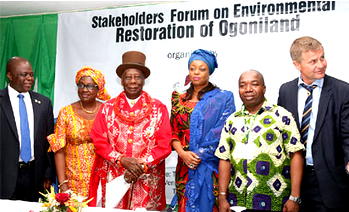 How FG plans to disburse funds for Ogoniland clean-up exercise – Alison-Madueke