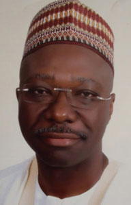 Senate: How and why PDP won Niger-East by-election