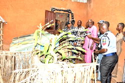 Police uncover fake healing homes in Ogun