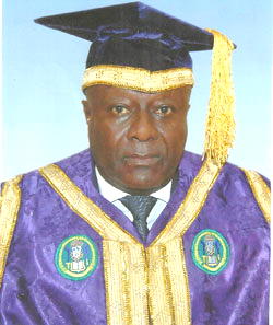 Over 2,000 people came to demolish my house—Homeless Ex-UNIBEN VC