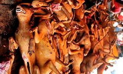 Dog meat, Ogogoro death toll  rises to  32