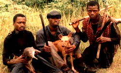 Eking out a living with hunter dogs
