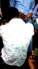 How I was raped by soldier for 5 hours under a tree — Student