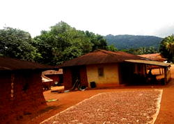 TOWER OF BABEL: Ubang, C’River community where men, women speak different languages