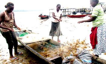 Blue Economy: Why women are  lowest paid —Experts