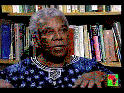 Mwalimu Ali Mazrui: A hero in the present time
