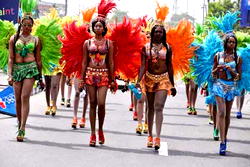 Cross River govt set to privatize Calabar carnival