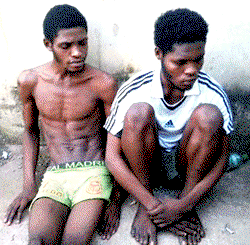 Maid connives with gang to  rob boss, escapes with loot