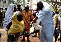 Expert allays fears on transmission of bird flu in humans