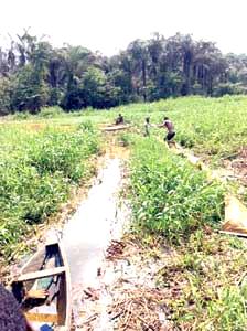 We are under Gbetiokun Oil Field, Abigborodo Community tells NPDC