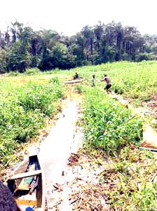 We are under Gbetiokun Oil Field, Abigborodo Community tells NPDC