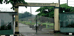 Why we amputate limbs at Igbobi  — Dr Mustapha Alimi, Chief Medical Director