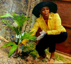 70 trees for Bose Ransome-Kuti’s birthday