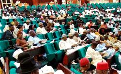 Reps ask FG to halt alleged importation of genetically modified maize