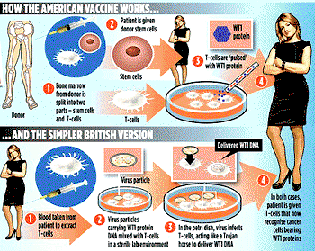 Another Science Breakthrough: Miracle Cancer  Vaccine on the way!