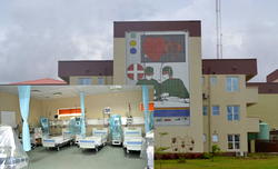 Succour beckons as Lagos solves heart, kidney puzzles