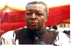 Why Igbo will vote Jonathan —Ohanaeze leader, Nworgu