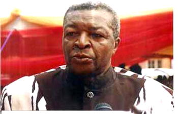 Why Igbo will vote Jonathan —Ohanaeze leader, Nworgu