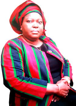 We’re taking Nigeria’s security challenges to the UN – Olateru-Olagbegi